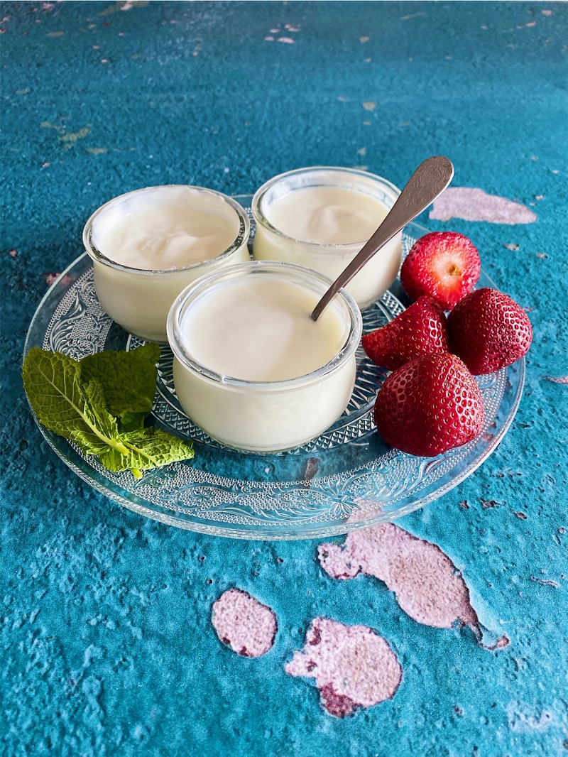 Floración Sotavento Mencionar Yogur de leche de cabra en Thermomix®